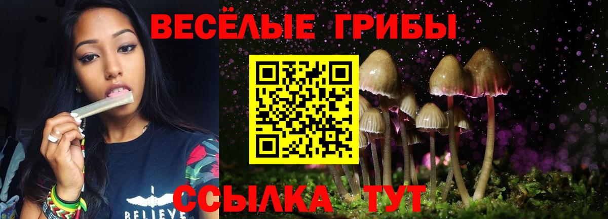 Псилоцибиновые грибы GOLDEN TEACHER  Вход с VPN  Орёл  Псилоцибиновые грибы прущие грибы 